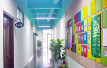 iBS小语种校区合集